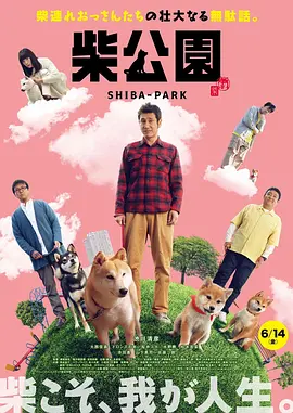 年轻的邻居2