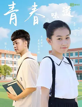 精品国产三级v