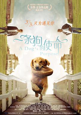 青青热久麻豆精品视频在线观看